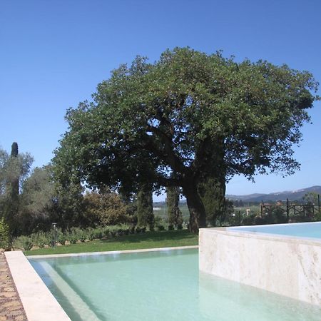 Agriturismo Il Broletto Suvereto Ngoại thất bức ảnh