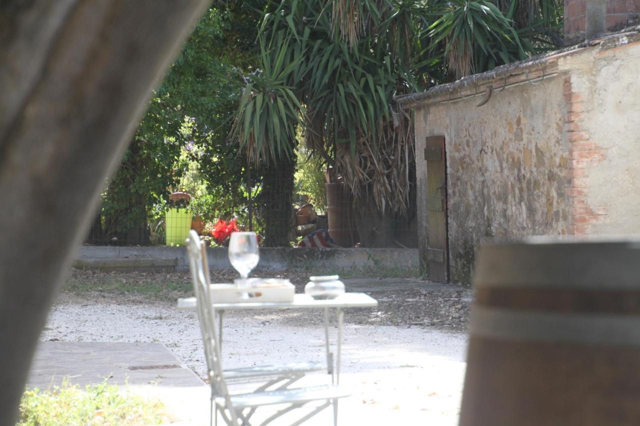 Agriturismo Il Broletto Suvereto Ngoại thất bức ảnh