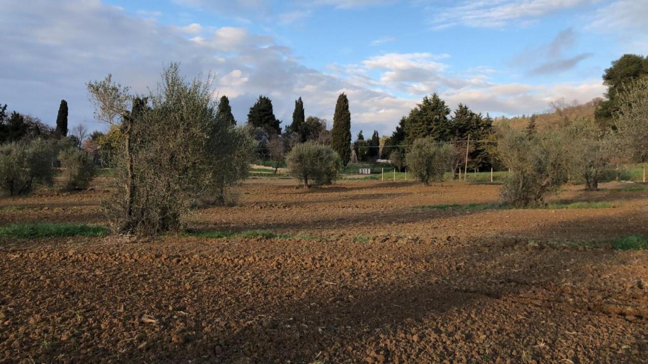 Agriturismo Il Broletto Suvereto Ngoại thất bức ảnh