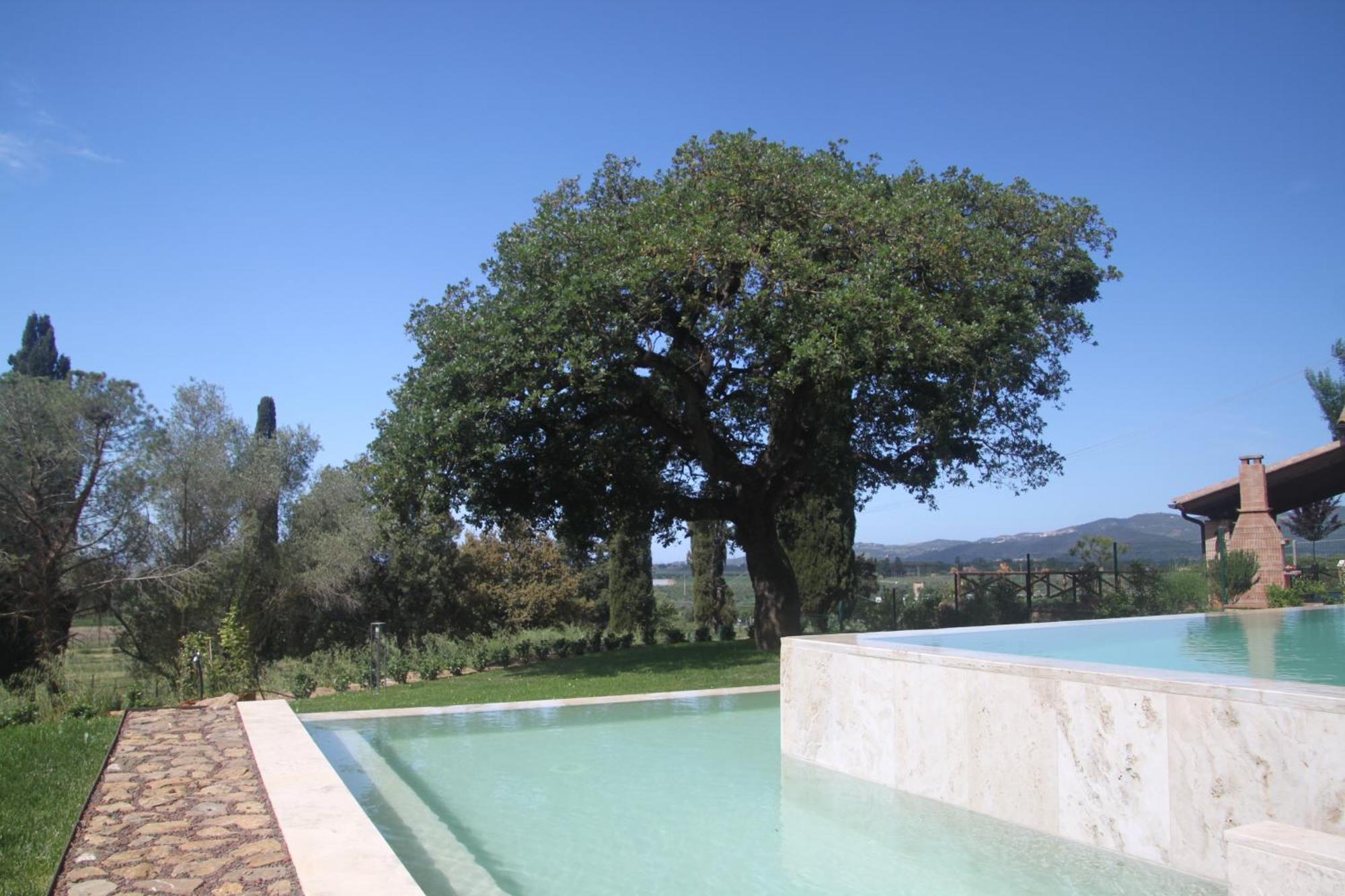 Agriturismo Il Broletto Suvereto Ngoại thất bức ảnh